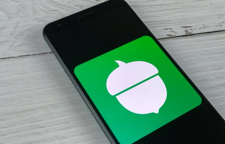 Is Acorns Worth It for Beginner Investors Despite the Fees?